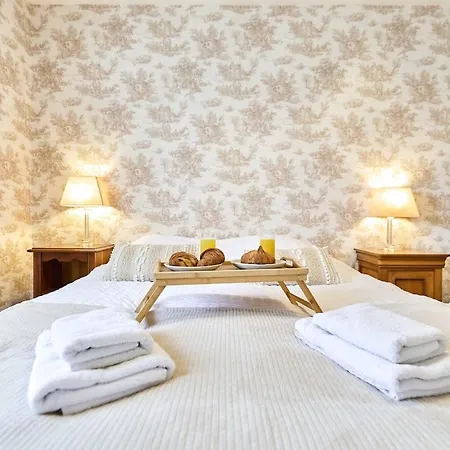 La Bohemienne, House, Hot Tub, Garden, Parking Ferienhaus Reims